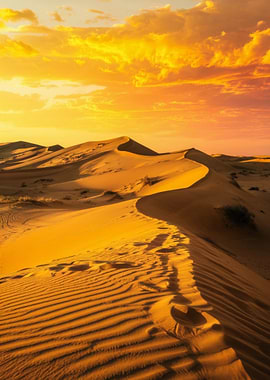 Golden Desert Dunes at Sunset
