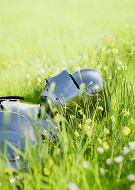 Knight in a Meadow