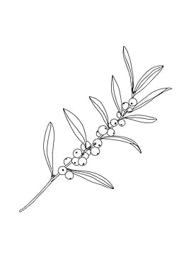 Botanical Minimalist Line Art: Branch with Berries