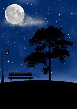 Night scene with moon and stars