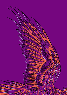 The Wing of a Phoenix