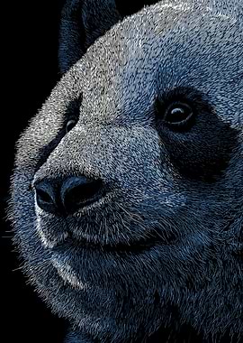 Detailed Panda Portrait on Black Background