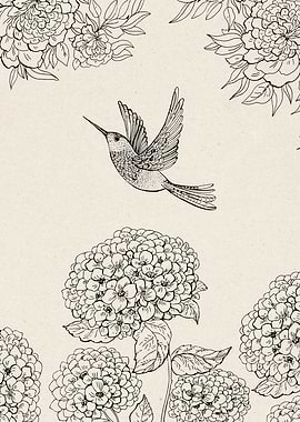 Hummingbird and Hydrangea Line Art