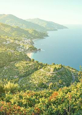 Coastal Mountain Village Landscape