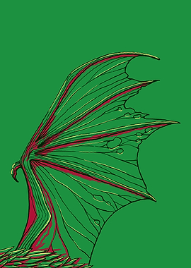 The Wing of a Dragon