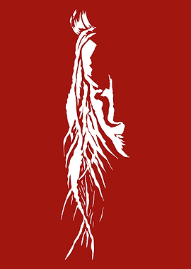 Abstract White Figure on Red Background