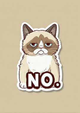 Grumpy Cat Says No