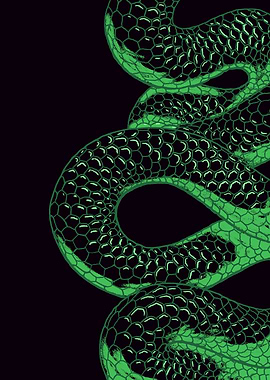 The Green Snake