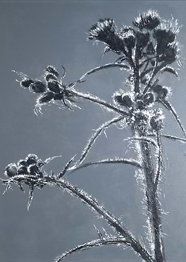 Monochromatic Thistle Painting