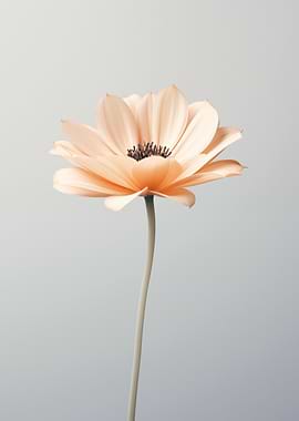 Lonely flower on gray