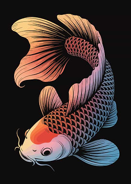 Elegant Koi Fish Illustration on Black
