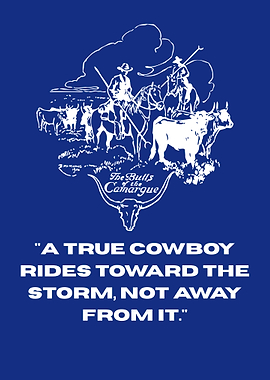 Cowboys Riding Bulls in Camargue