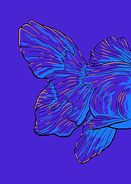 The Fins and Tail of a Fish