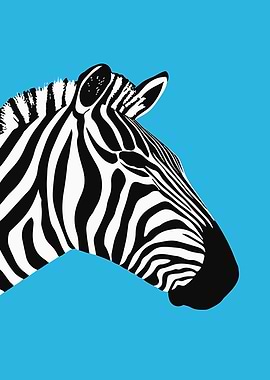 Zebra Portrait on Blue Background