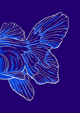 The Fins and Tail of a Fish on Blue Background
