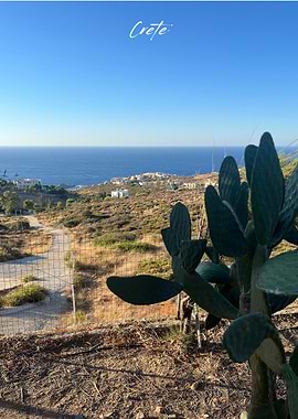 Crete Landscape with Cactus and Ocean View
