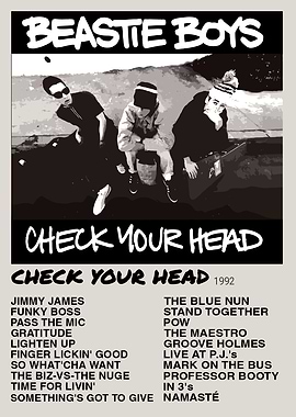 Beastie Boys Check Your Head Album