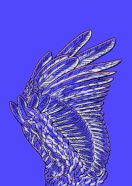 The Wing of an Owl on Blue Background
