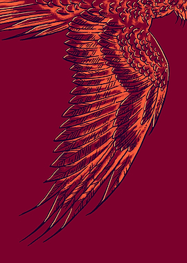 The Wing of a Phoenix on Red Background
