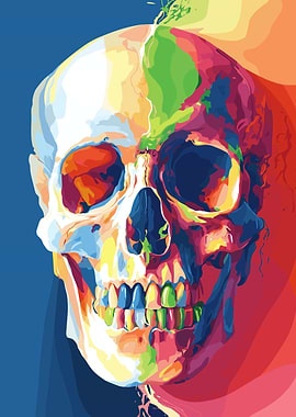 Colorful Skull Illustration