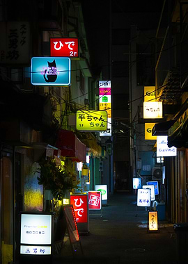 Japanese Alleyway
