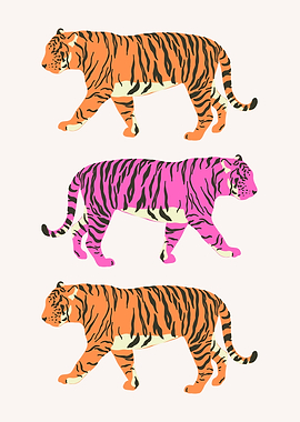 Three Tigers Walking