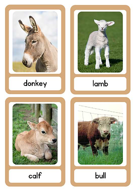 Farm Animals Flashcards Set