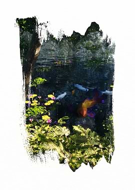 Koi Pond with Lily Pads