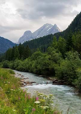 Mountain Avisio river landscape with wildflowers