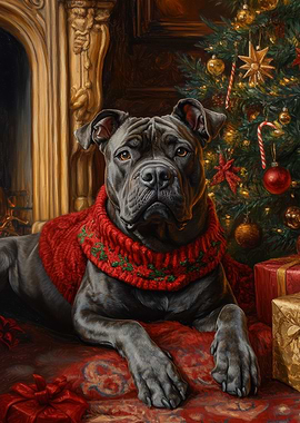 Cane Corso in Festive Red | Dog Christmas Portrait with Red Scarf