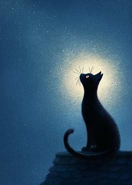 Black Cat Gazing at Stars