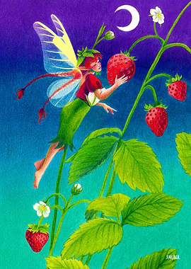 Strawberry Fairy