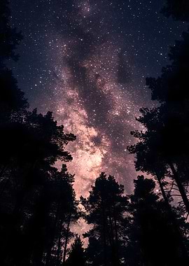 Starry Night Sky Through Trees