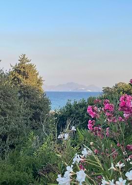 Coastal View with Flowers and Mountains