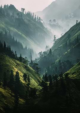 Misty Green Mountain Valley Landscape