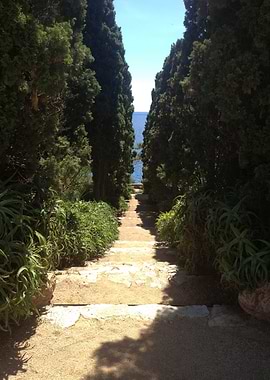 Path to the Sea
