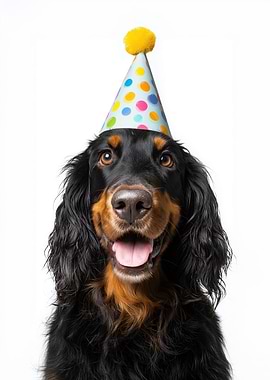 Gordon Setter Dog with Party Hat Portrait