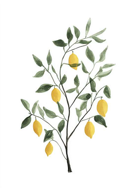 Watercolor Lemon Tree Illustration
