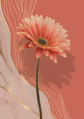 Coral Peach Gerbera Daisy