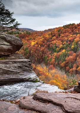 Autumnal Forest View from Rocky Cliff