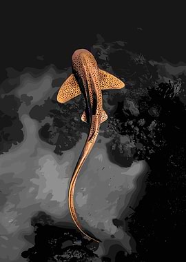 Leopard Shark in Dark Ocean