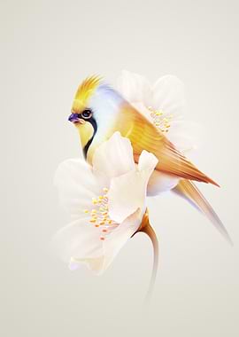 Bird on Blossom Branch