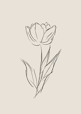 Tulip Line Art