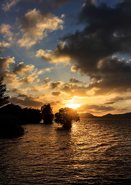 Golden Sunset Over Water and Trees