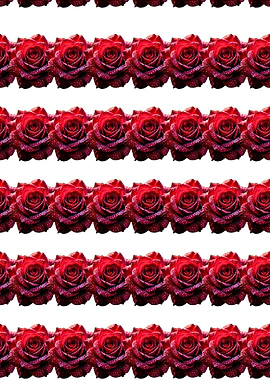Red Roses Pattern