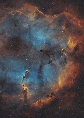 Elephant's Trunk Nebula in Space