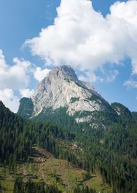 Mountain peak with forest and sky - Val di Fassa - Italy