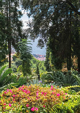 Lush Garden Overlooking Coastal Town