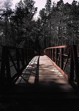 Bridge in the Woods