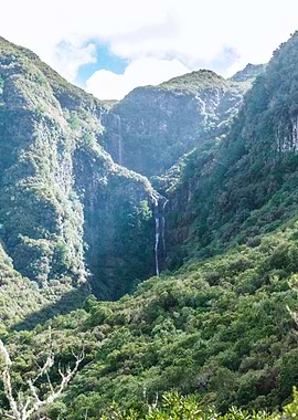 Waterfall in Lush Green Mountain Valley